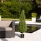 4ft. Potted UV Resistant Rosemary Cone Topiary Tree